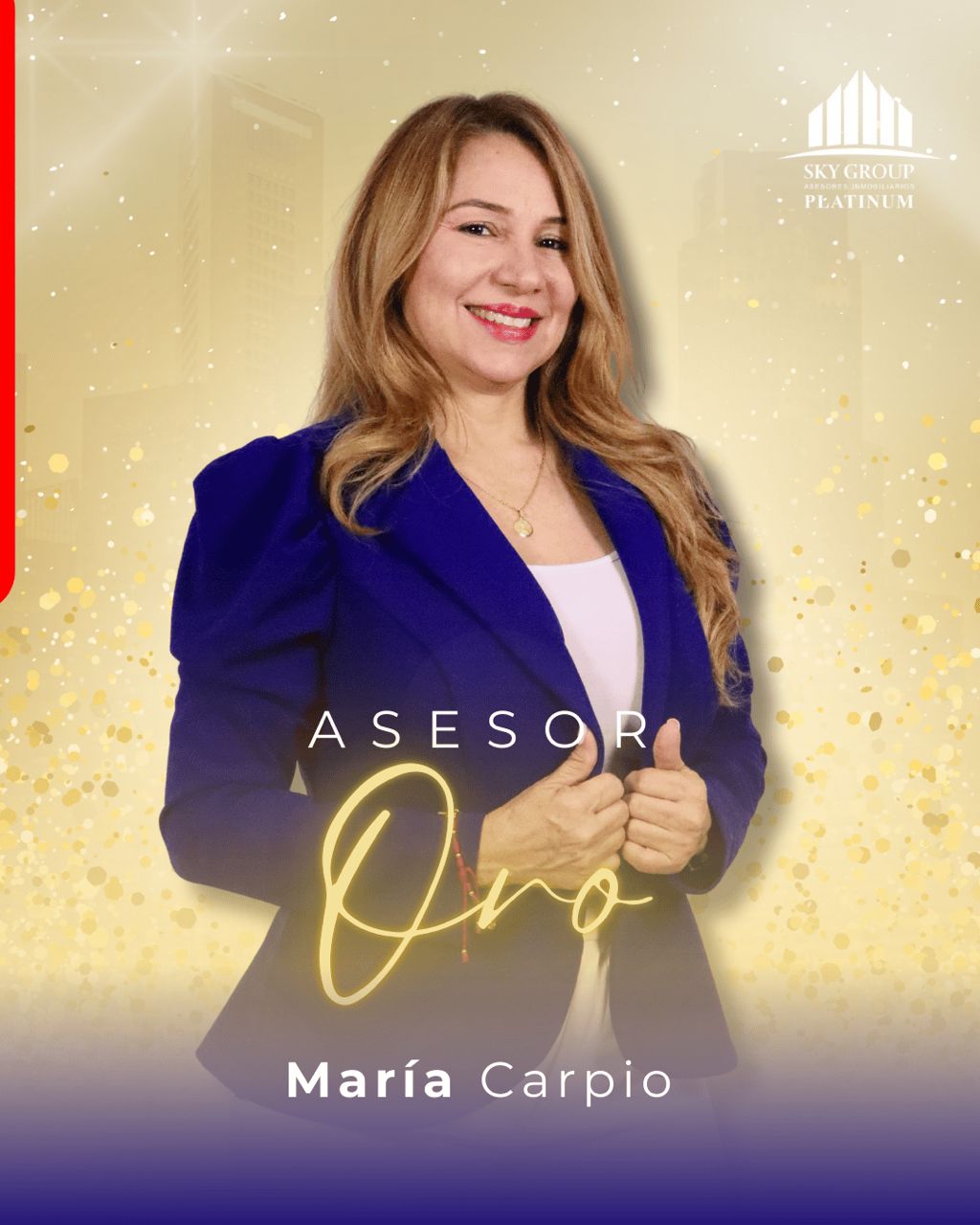 asesor oro1 noviembre